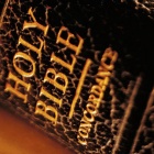 Ամերիկացիների 39%-ը ամեն շաբաթ Աստվածաշունչ է կարդում